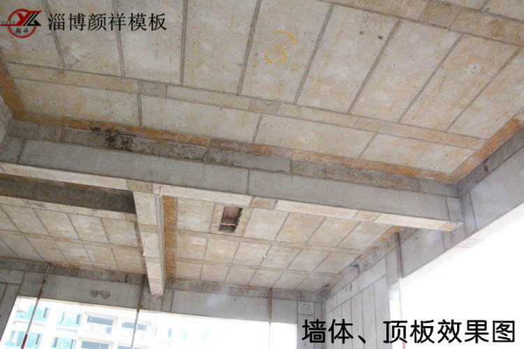 墻體、頂板效果圖